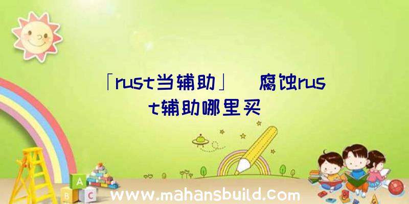 「rust当辅助」|腐蚀rust辅助哪里买